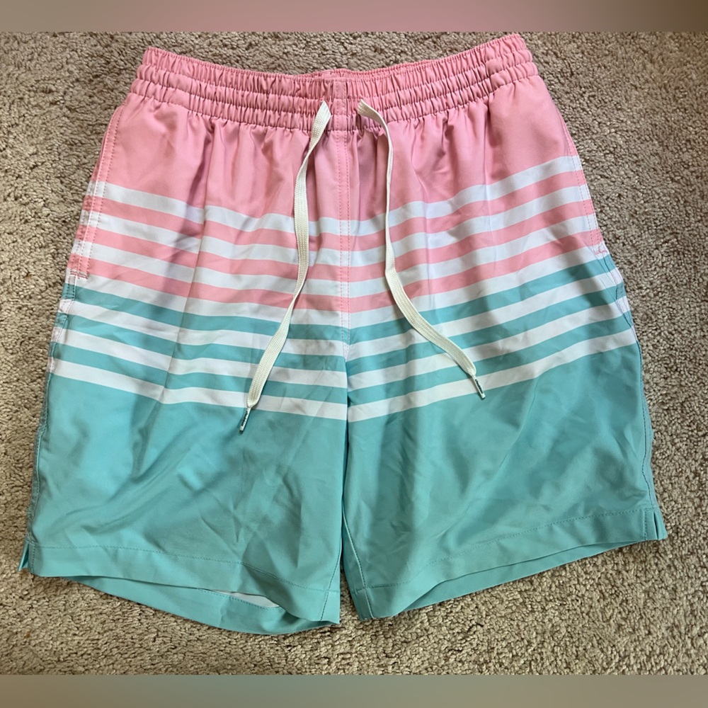 Chubbies Pink and Teal Striped Men's Shorts 7” inseam